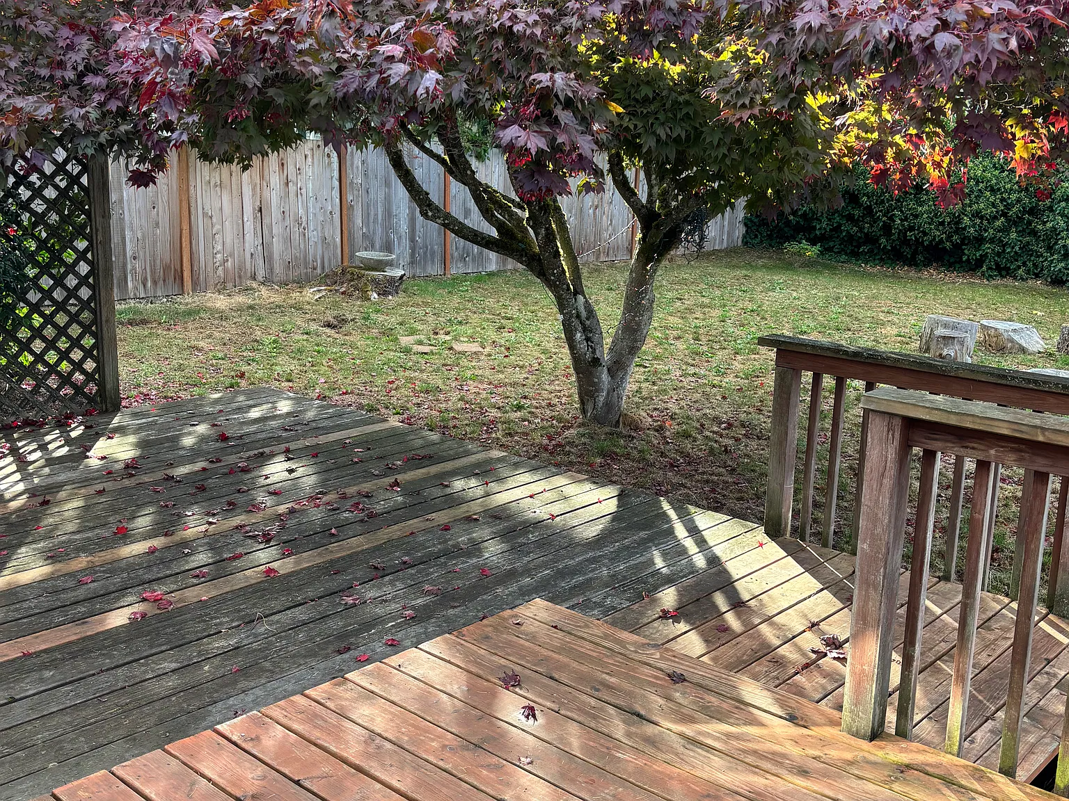 3 bed, 969 sqft, $2,600 — Photo 2