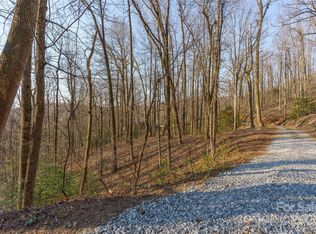 Tanglewood Ln, Saluda, NC 28773