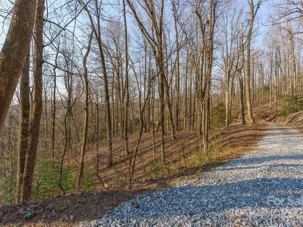 Tanglewood Ln, Saluda, NC 28773