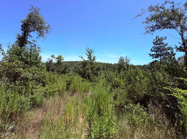 County Road 372, Winona, TX 75792