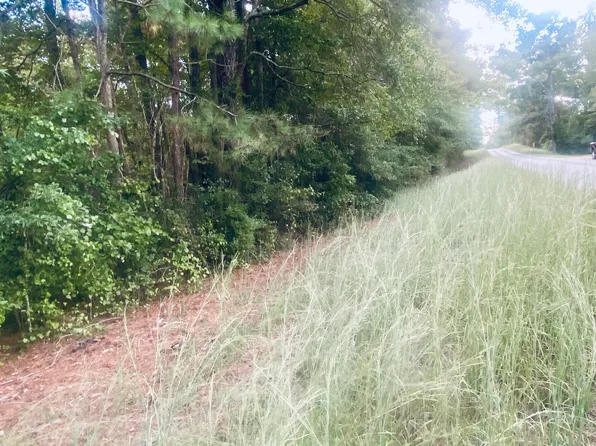 0 Highway 43, Newhebron, MS 39140