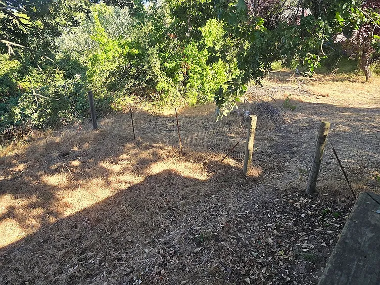 973 Gravenstein Hwy S — Photo 17