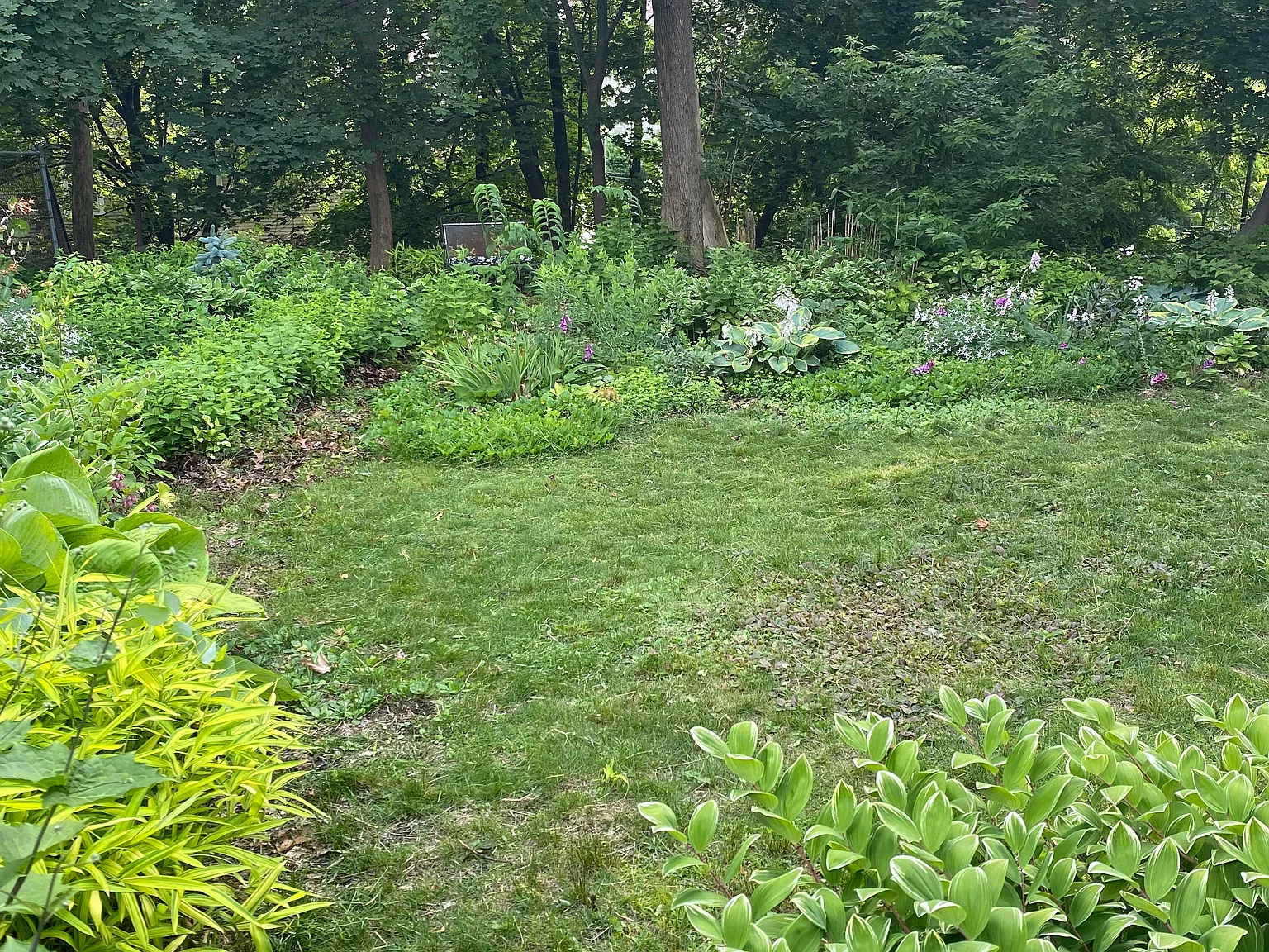 2 bed, 1550 sqft, $2,500 — Photo 2