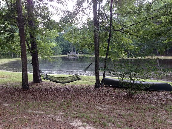 Hammock by the pond