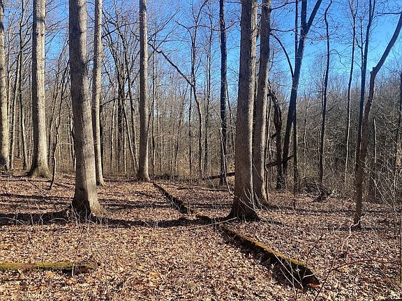 3rd image of 28370 Jug Run Rd