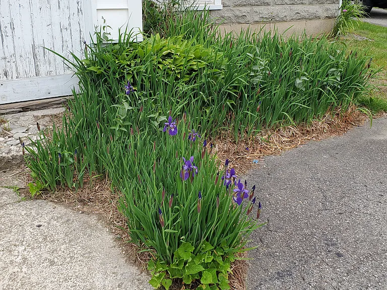 846 Pleasant St — Photo 20