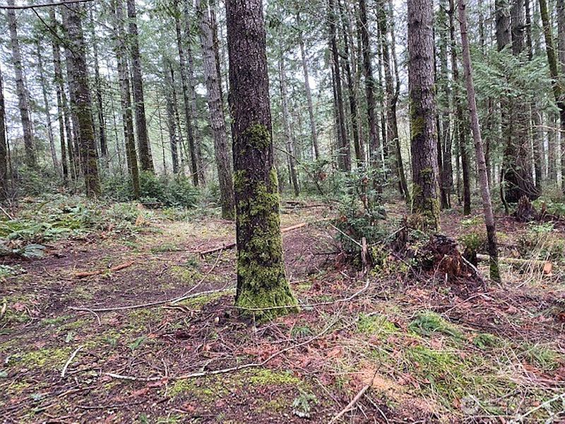 4th image of 0 Elk Street