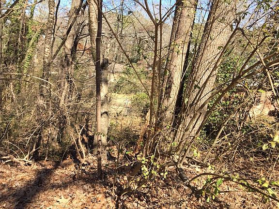 4th image of 0 Brownwood Dr #16
