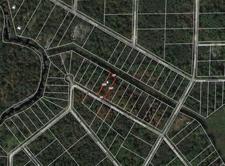 Northwest Ave, Webster, FL 33597