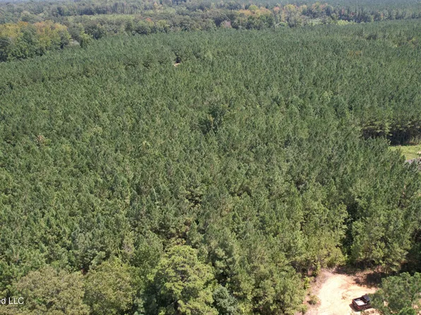 County Road 2127, Mc Cool, MS 39108