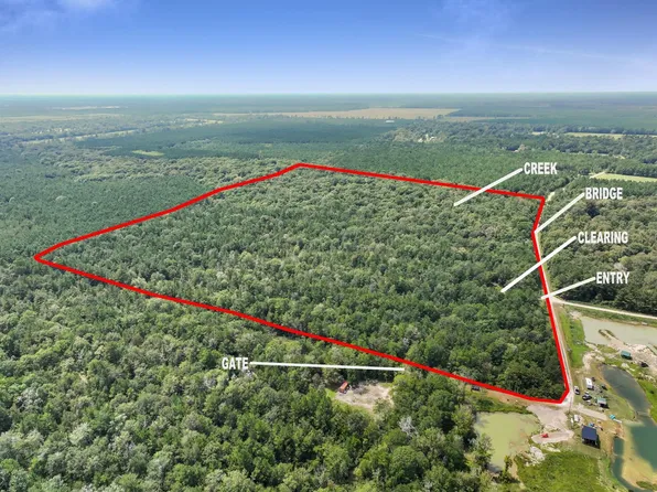 0 Blue Jay Dr Tract 10, Kountze, TX 77625