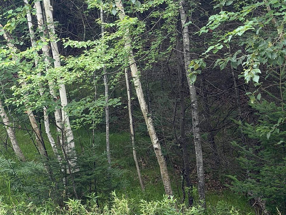 1st image of Angel Crest Ln #8