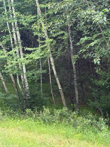 Angel Crest Ln #8, Lakewood, WI, 54138