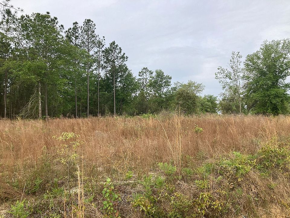 2nd image of 2055 Thomas K Scott Rd