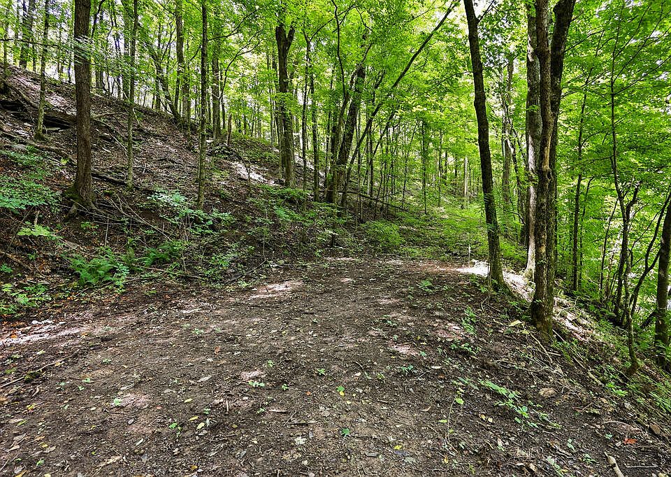 4th image of 225 Coys Cove Ln