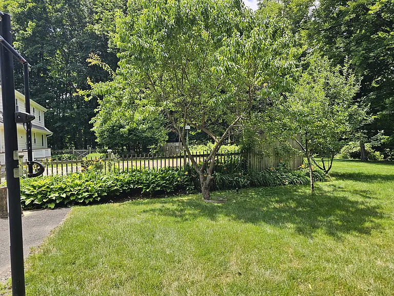 Backyard View 1