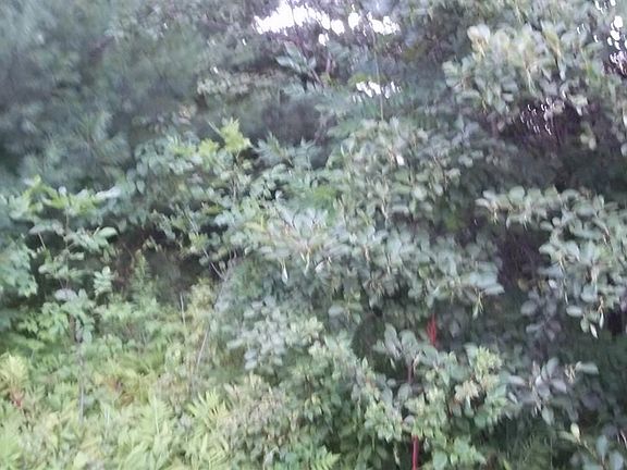 3rd image of 0 Smith St