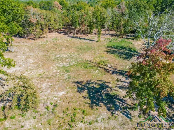 208 Angus Rd, Big Sandy, TX 75755