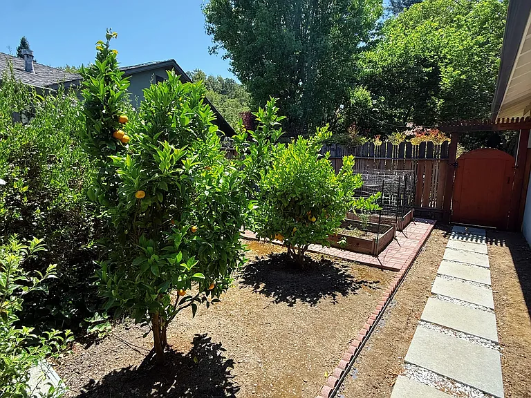Fruit trees and gardening area