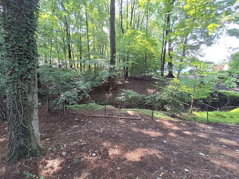 212 Earle Ct — Photo 3