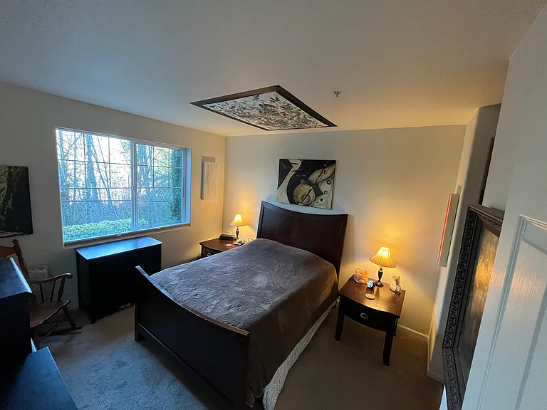 Master bedroom with Jackson Pollock style canvas painting on ceiling (not included)