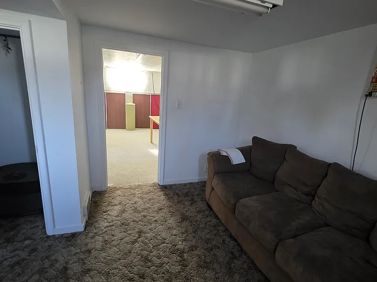 Basement living area