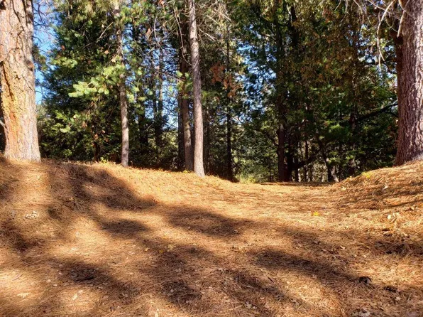 1812 Sandalwood Dr, Murphys, CA 95247