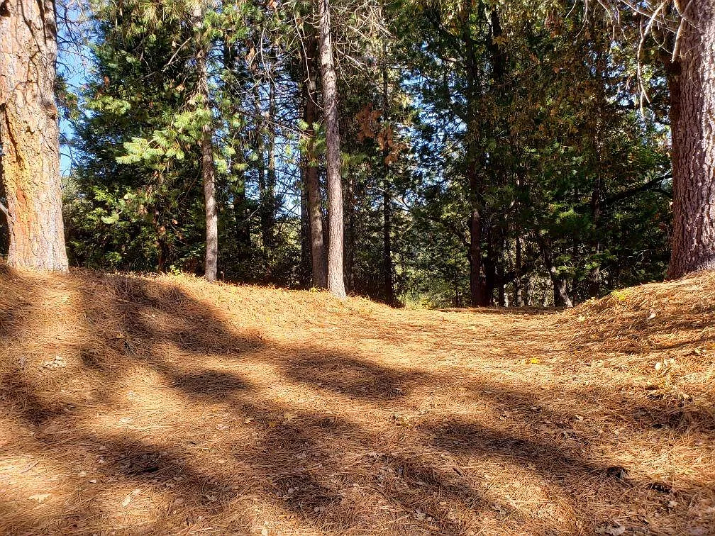 1812 Sandalwood Dr photo 1