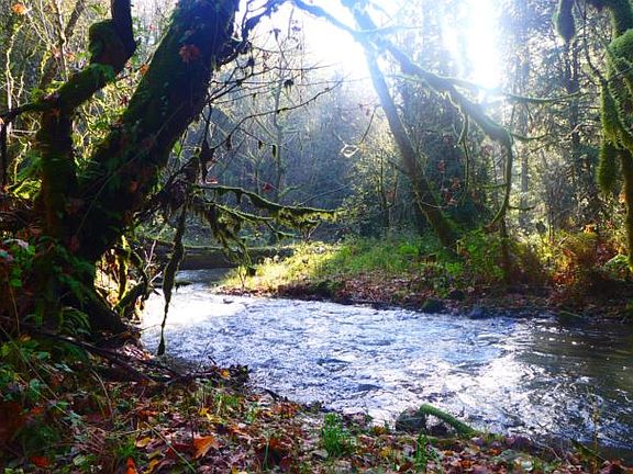 4th image of 0 NE Lockwood Creek Rd