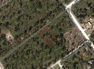 1021 Granger Street, Lake Placid, FL 33852