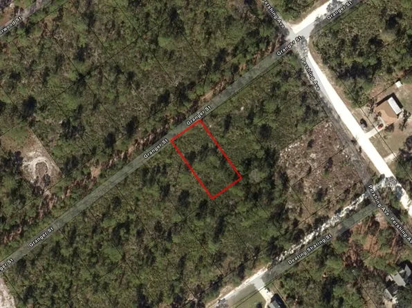 1021 Granger Street, Lake Placid, FL 33852