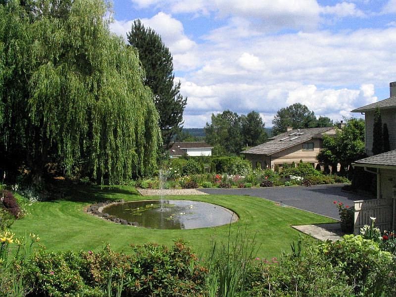 Back Garden