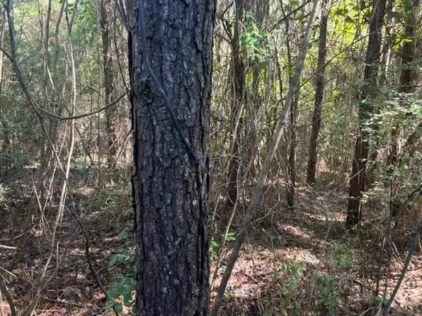 0 Coon Rd, Opp, AL 36467