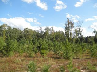 1 Adams Reeves Rd TRACT 1, Dearing, GA 30808
