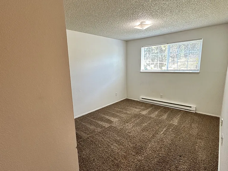 3919 Mason Loop Rd #C — Photo 22