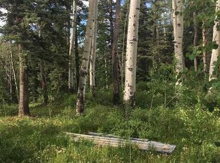 78 Sierra Verde Rd, Durango, CO 81301