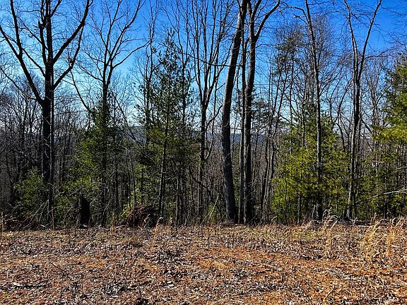 4th image of 107/125 Chestnut Mountain Rd