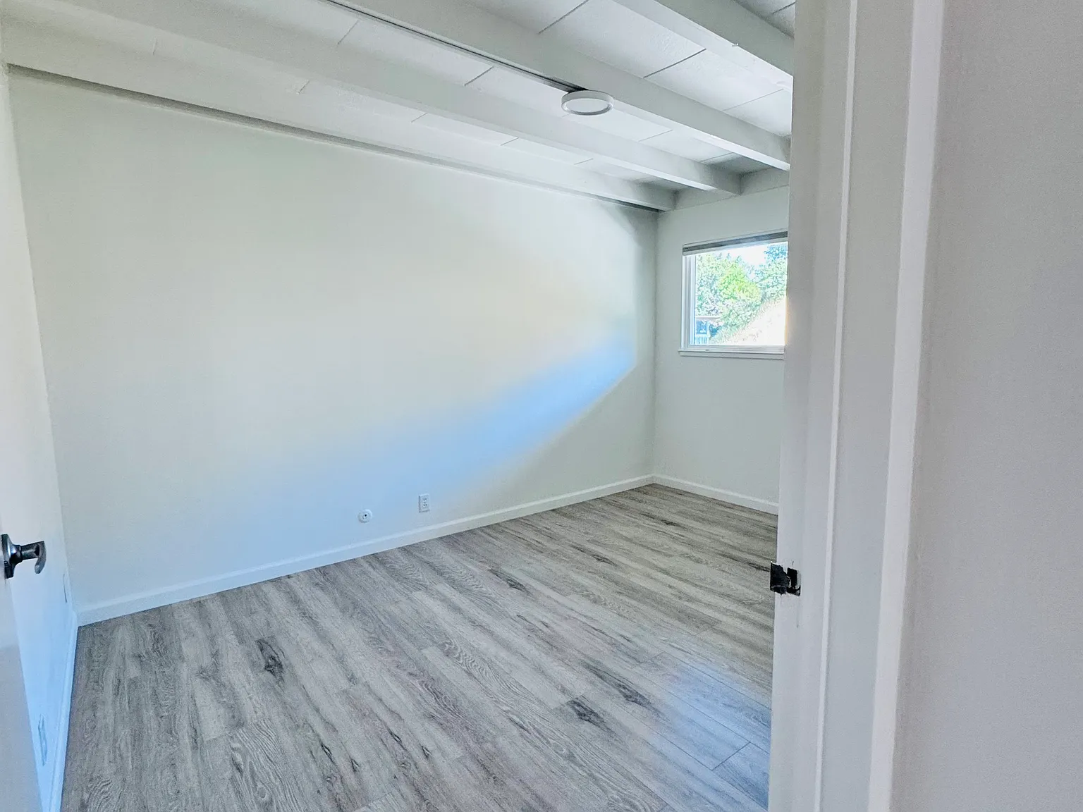 1 bed, $2,395 — Photo 2