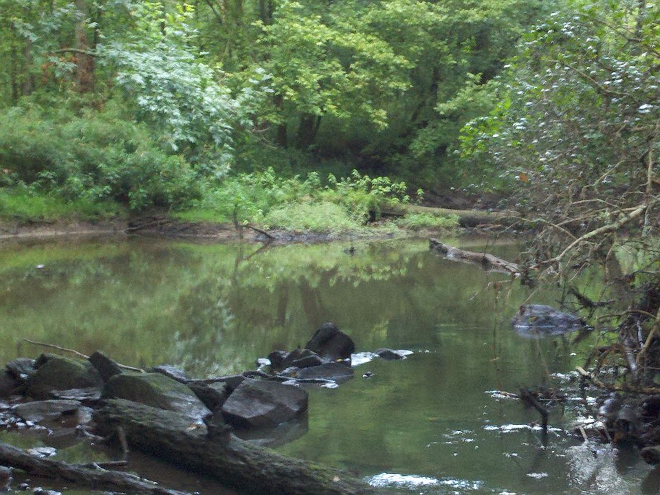 Fishing Creek!