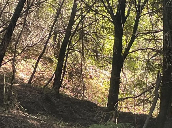 0 Redwood St, Santa Cruz, CA 95060