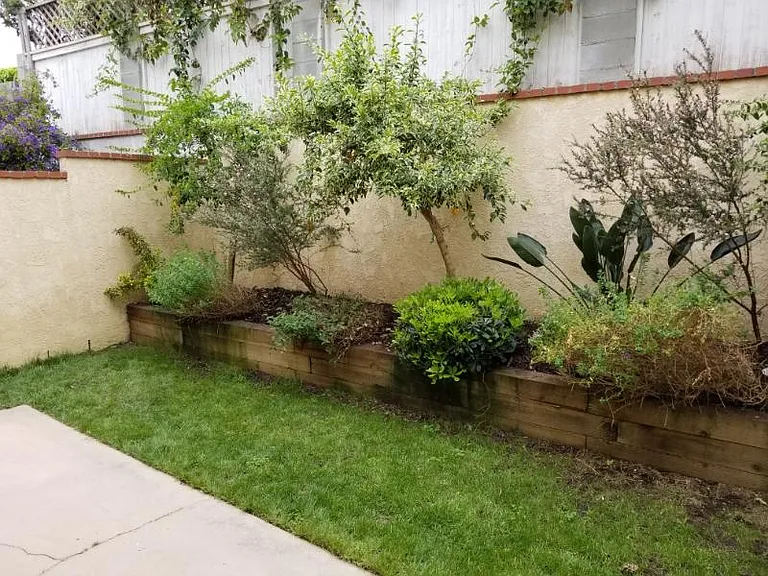 Enclosed backyard off downstairs master bedroom with patio.