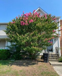 7102 Flag Harbor Dr, District Heights, MD, 20747