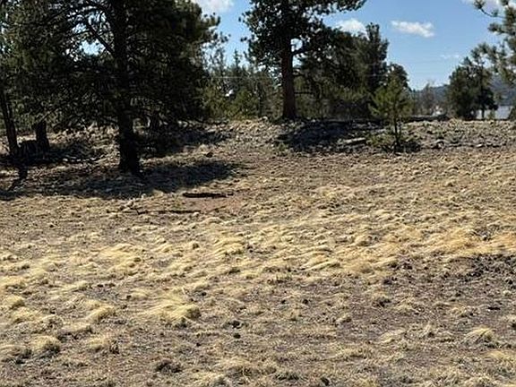 5th image of 2841 Singletree Rd