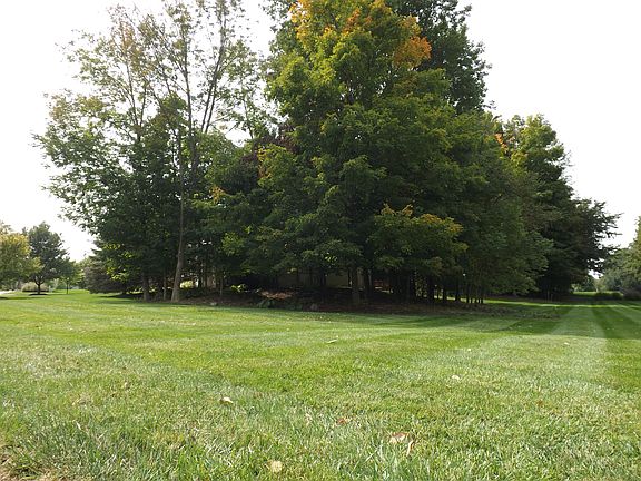 large flat side yard