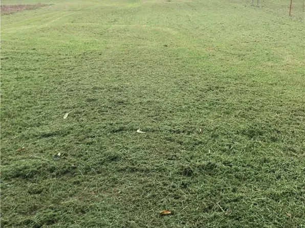 LOT B Piney Rd #B & A2, Westville, OK 74965