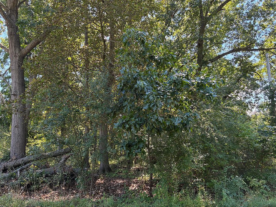 2nd image of Francis Ave