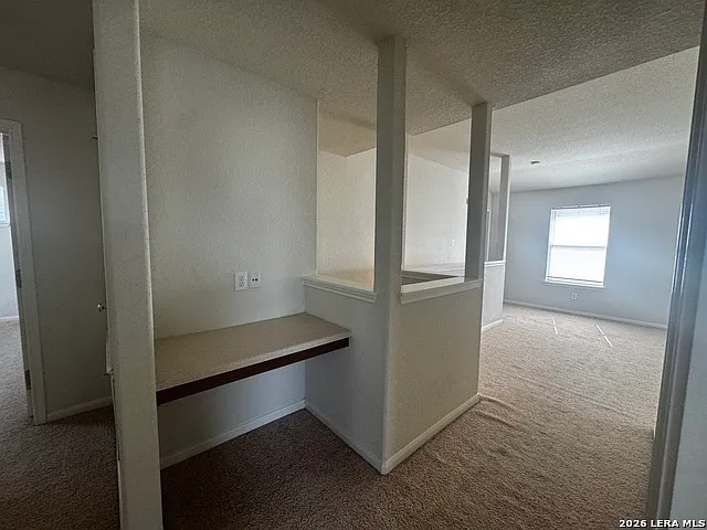 8834 Snow Goose — Photo 13
