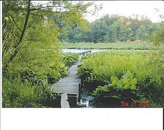 1st image of 136 Curtis Dr