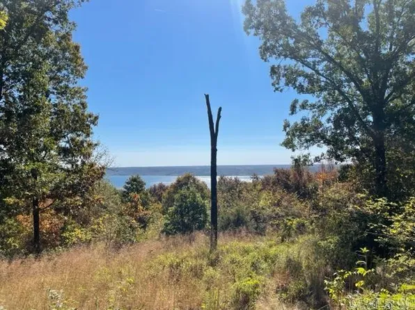 (undisclosed Address), Quitman, AR 72131
