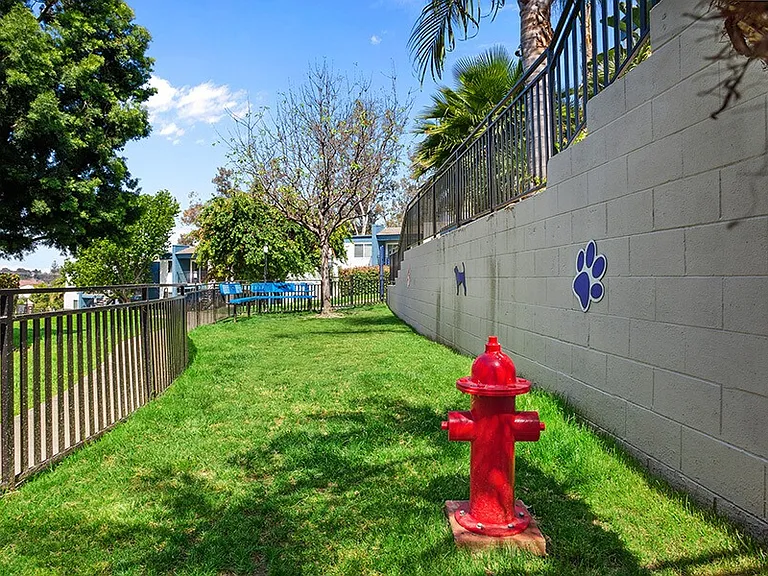 Cove La Mesa — Photo 22